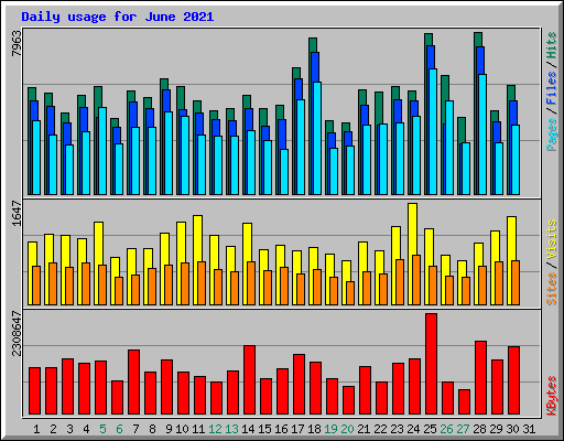 Daily usage for June 2021