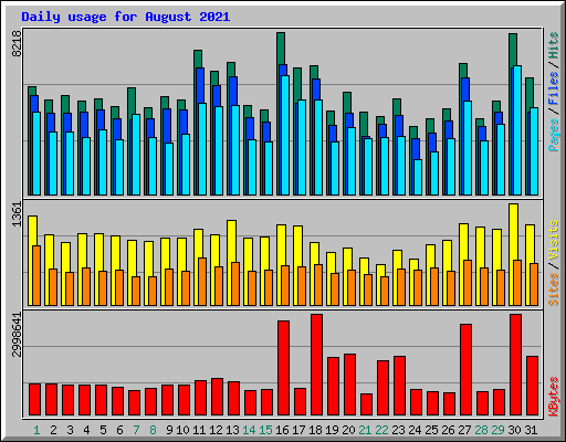 Daily usage for August 2021