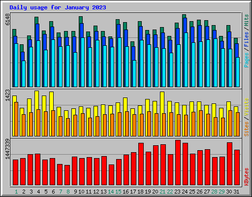 Daily usage for January 2023