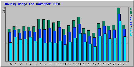 Hourly usage for November 2020