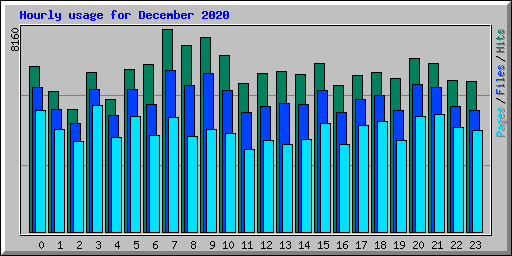 Hourly usage for December 2020