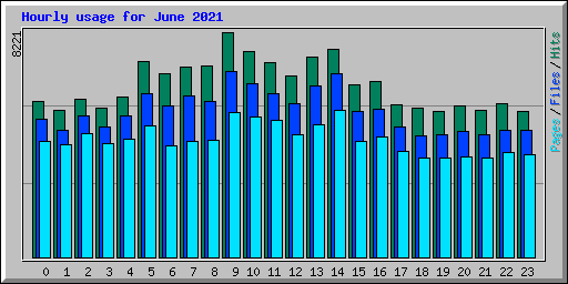 Hourly usage for June 2021