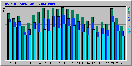 Hourly usage for August 2021