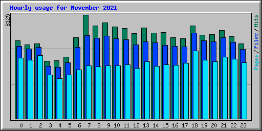 Hourly usage for November 2021