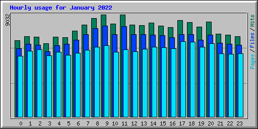 Hourly usage for January 2022