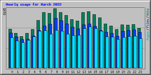 Hourly usage for March 2022