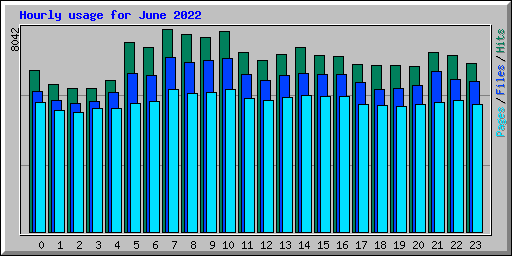 Hourly usage for June 2022