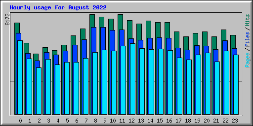 Hourly usage for August 2022