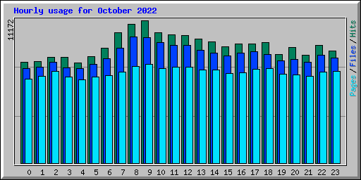 Hourly usage for October 2022