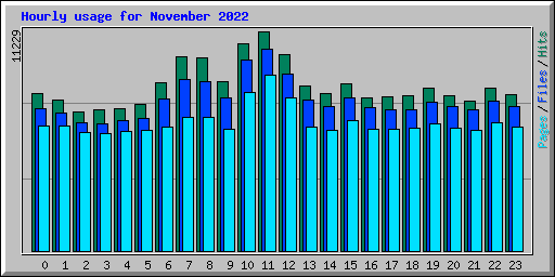 Hourly usage for November 2022
