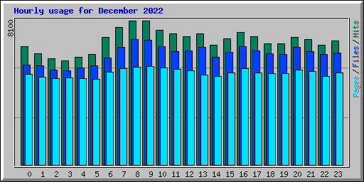 Hourly usage for December 2022