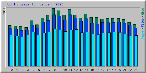 Hourly usage for January 2023