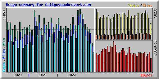 Usage summary for dailysquashreport.com